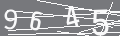 capsa
